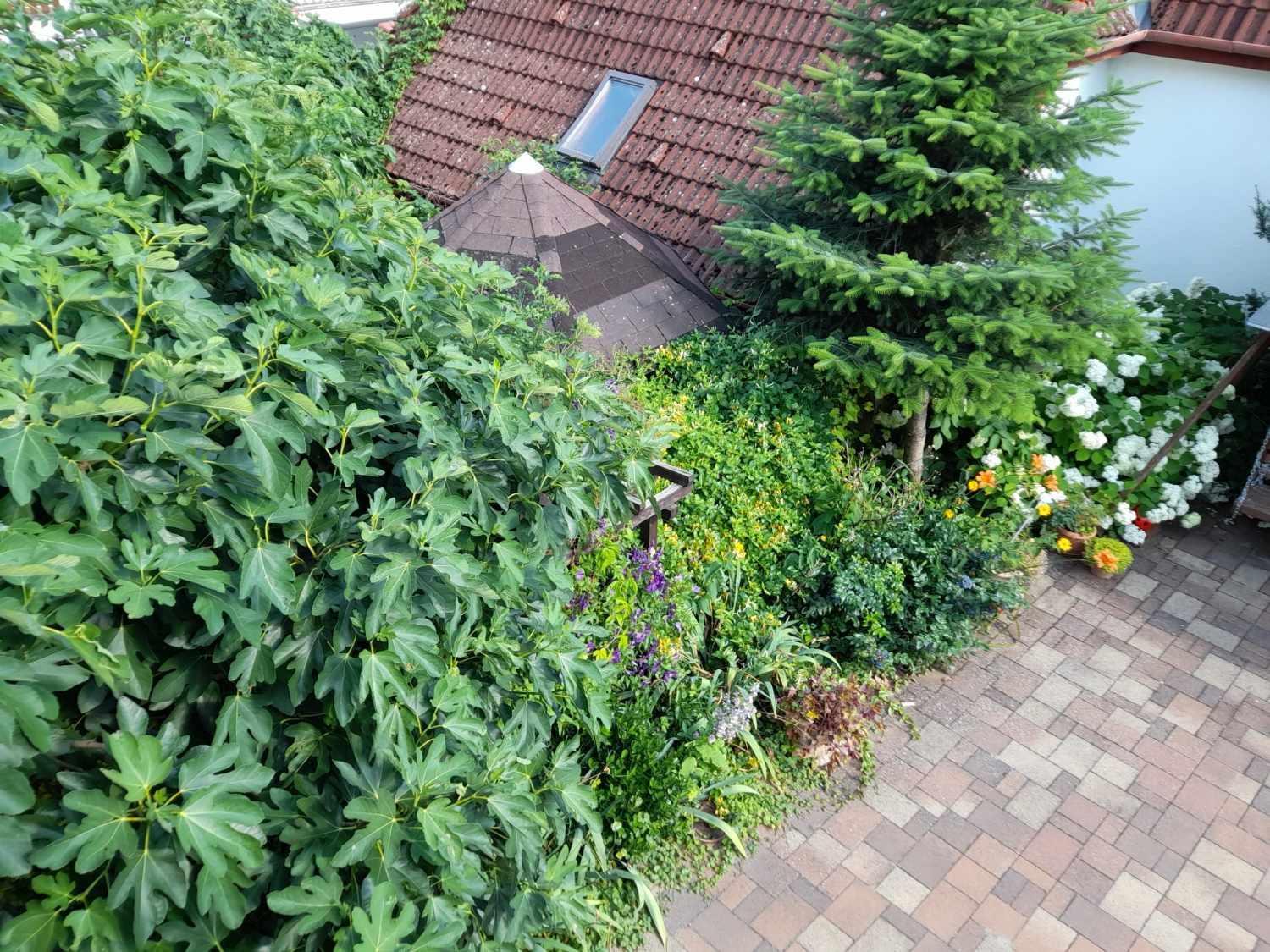 Harmonia Vendeghaz 100 Meterre Az Igali Gyogyfuerdotol Leilighet Eksteriør bilde